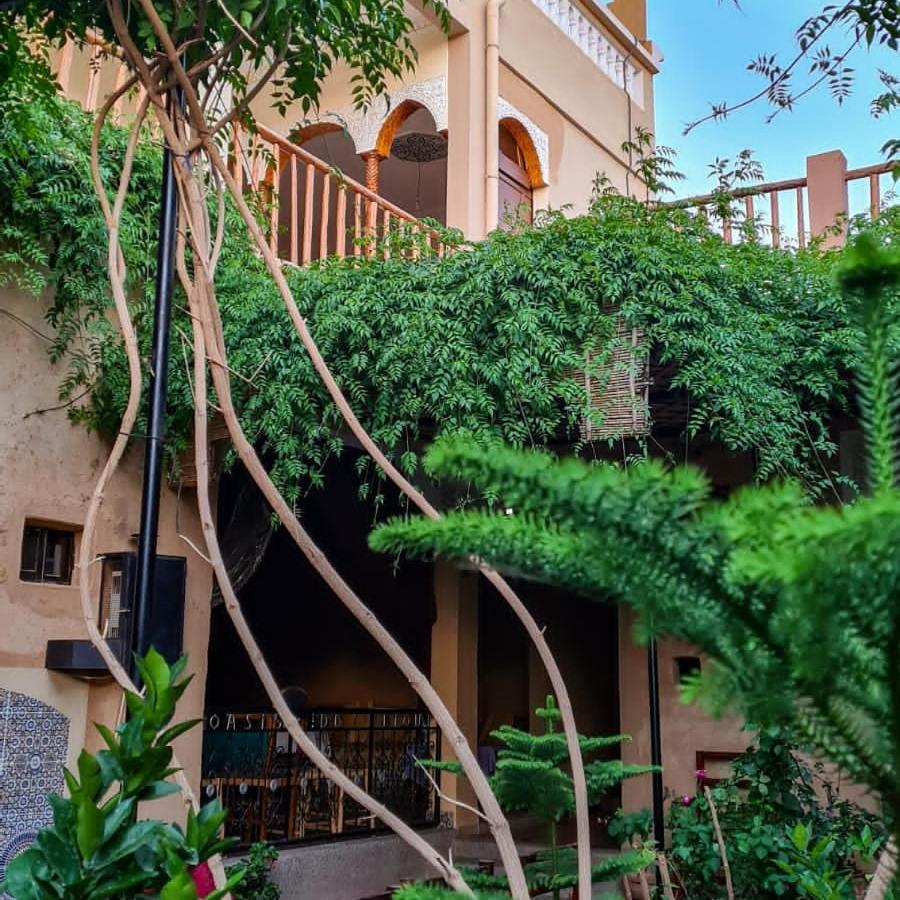Ferienwohnung Oasis De Tiout Exterior foto