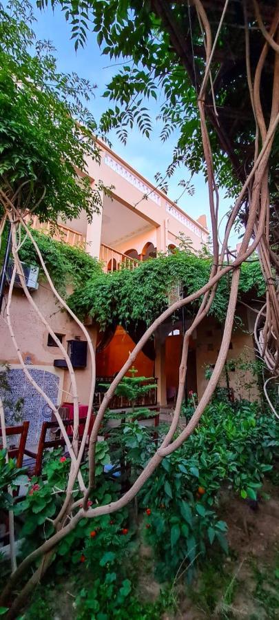 Ferienwohnung Oasis De Tiout Exterior foto