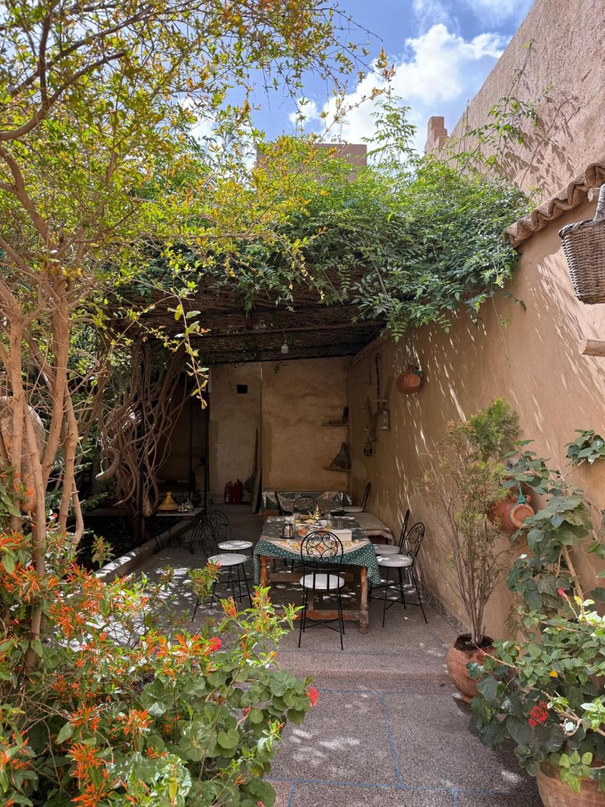 Ferienwohnung Oasis De Tiout Exterior foto